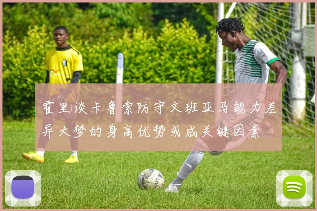 霍里谈卡鲁索防守文班亚马能力差异大梦的身高优势或成关键因素